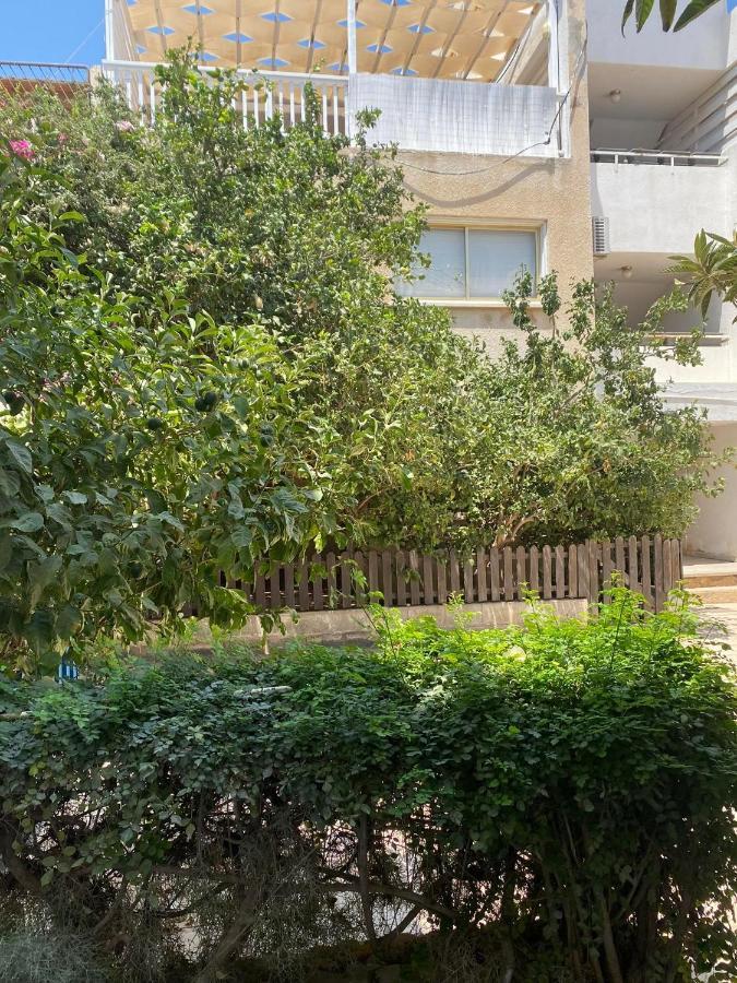 Stay With Oleg C17 Paralimni Buitenkant foto